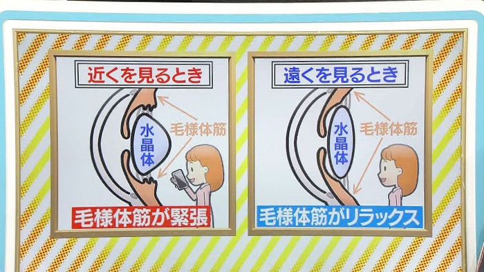 スマホ老眼 はスマホの使い方を少し変えるだけで改善 対策をクイズで紹介 バゲット 日本テレビ