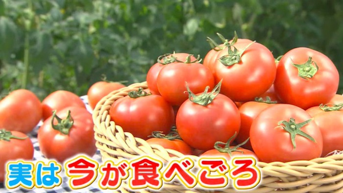 今が食べごろ トマトの栄養をムダなく摂取 効果的な食べ方を管理栄養士が伝授 バゲット 日本テレビ