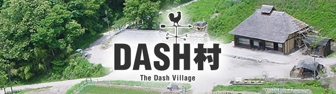 次回10月日の ザ 鉄腕 Dash は Dash島 出張dash村 ザ 鉄腕 Dash 日本テレビ