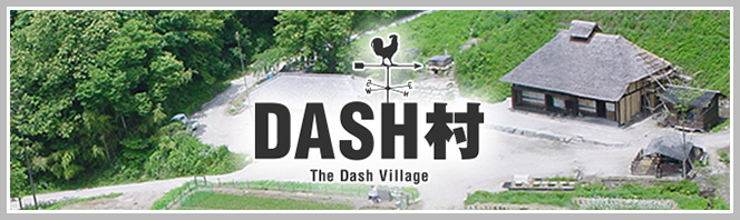 Dash村 21度目の米づくり始動 ザ 鉄腕 Dash 日本テレビ