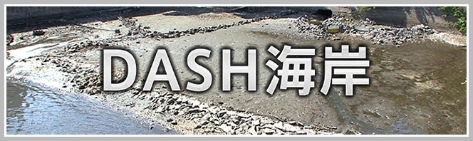 Dash海岸 イシガレイ ザ 鉄腕 Dash 日本テレビ