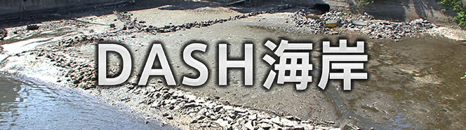 次回1月1日の「ザ！鉄腕！DASH!!」は3時間スペシャル！『DASH海岸 