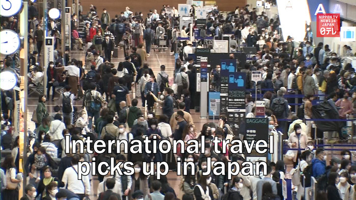 International travel picks up in Japan