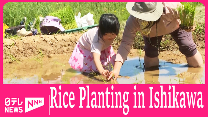 Rice planting in quake-hit Ishikawa