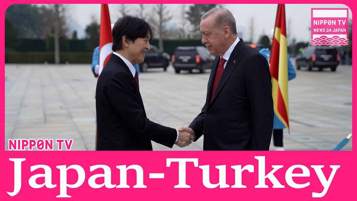 Japan's Crown Prince Fumihito meets Turkish President