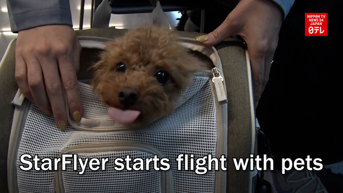 StarFlyer starts flight with pets
