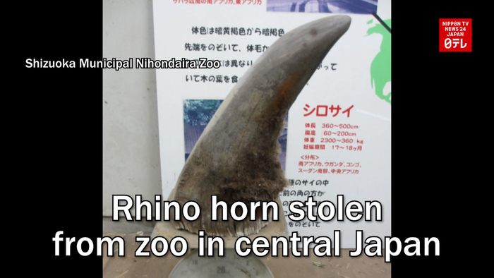 Rhino horn stolen from zoo in central Japan