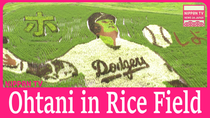 Ohtani in the Rice field art