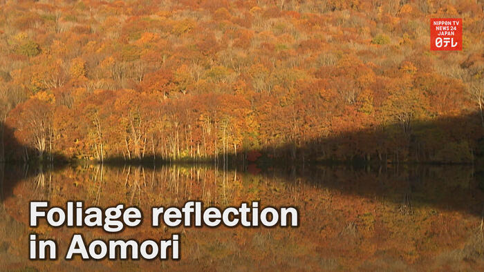 Hakkoda's foliage reflection
