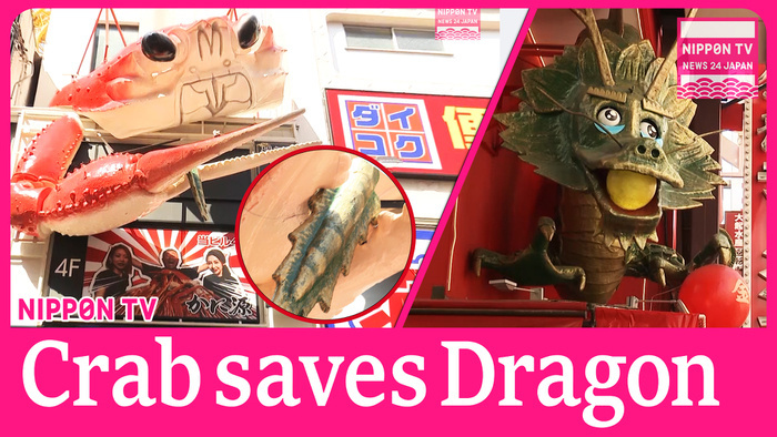 Osaka crab saves dragon tail 