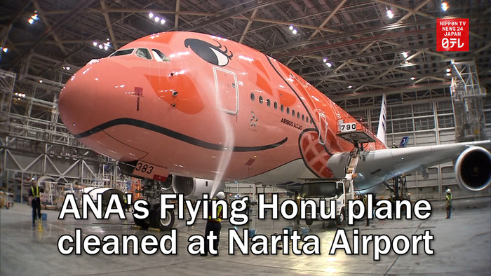 ANA's Flying Honu plane cleaned at Narita Airport