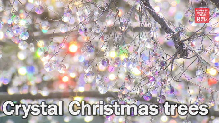 Crystal Christmas trees