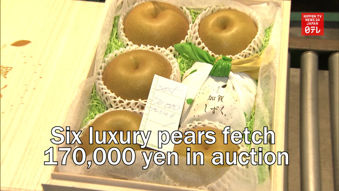 Six luxury pears fetch 170,000 yen in auction