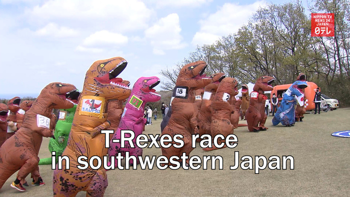 T-Rexes race in southwestern Japan