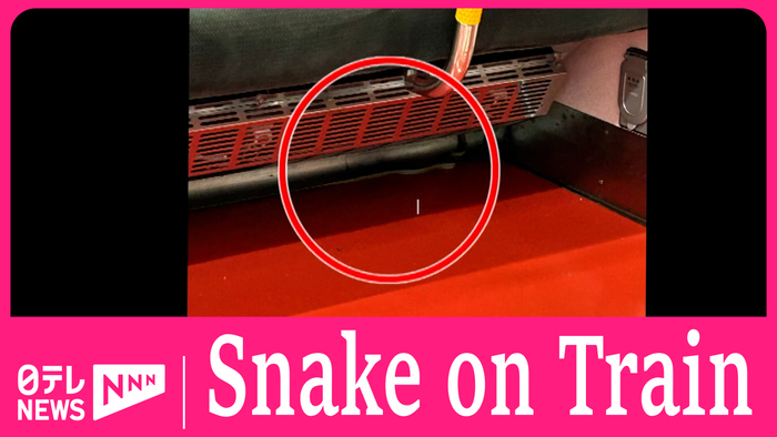 Snake found on train on Tokyo's Yamanote loop line
