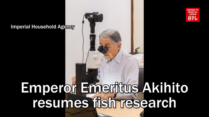 Emperor Emeritus Akihito resumes fish research