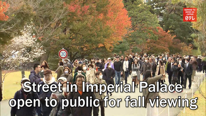 Street in Imperial Palace open to public for fall viewing