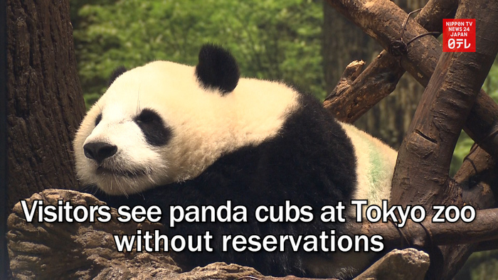Visitors see panda cubs at Tokyo zoo without reservations