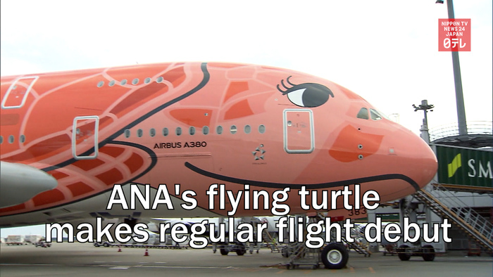 All Nippon Airways' flying turtle makes regular flight debut