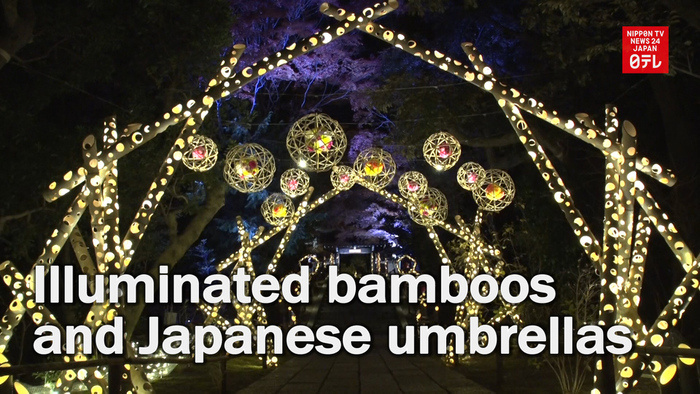 Illuminated bamboos and Japanese umbrellas
