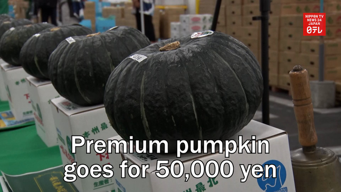 Premium pumpkin fetches 50,000 yen in northern Japan