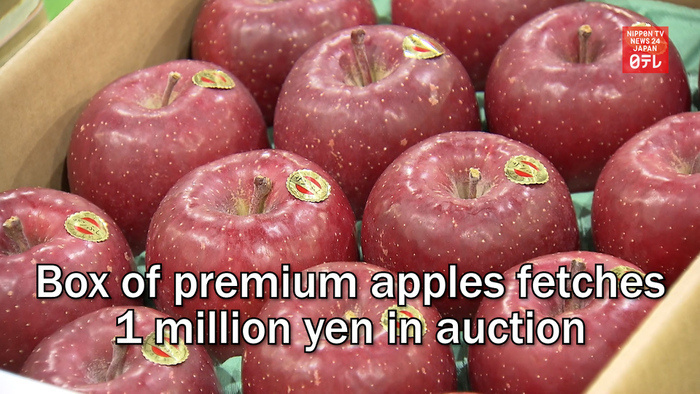 Box of premium apples fetches 1 million yen in auction