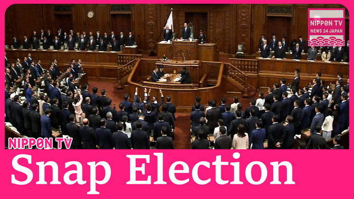 Japan's lower house dissolved