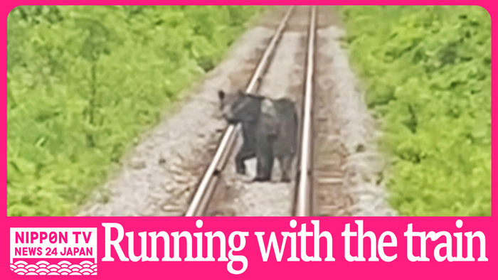 Bear surprises passengers on train