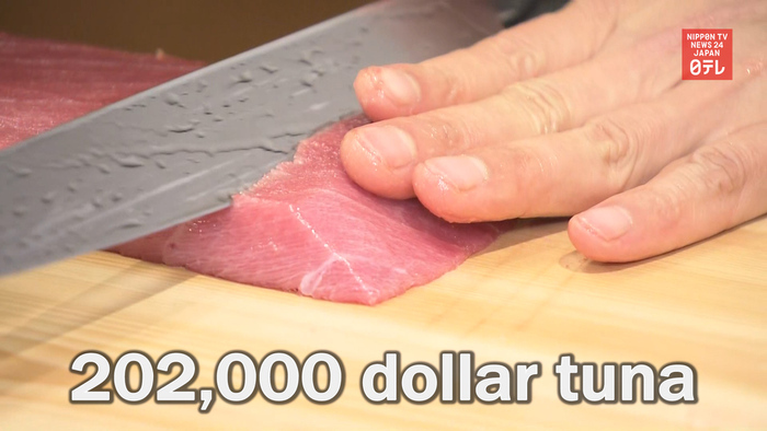 202,000 dollar tuna