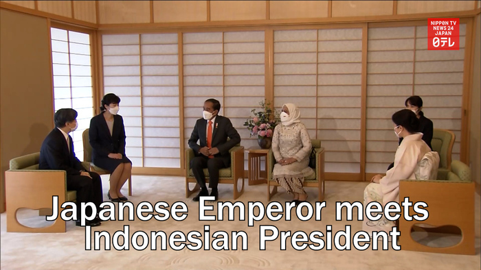 Emperor and Empress meet with Indonesian President and First Lady