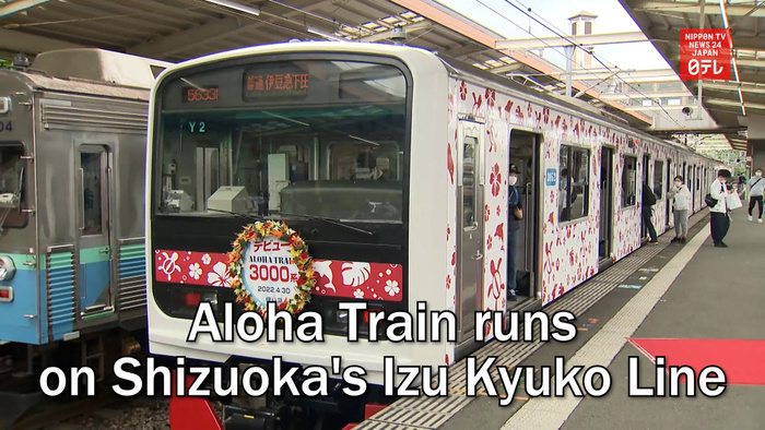 Aloha Train runs on Shizuoka's Izu Kyuko Line