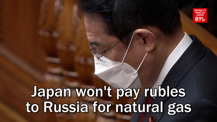 Japan won't pay rubles to Russia for natural gas