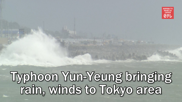 Typhoon Yun-Yeung bringing rain, winds to Tokyo area