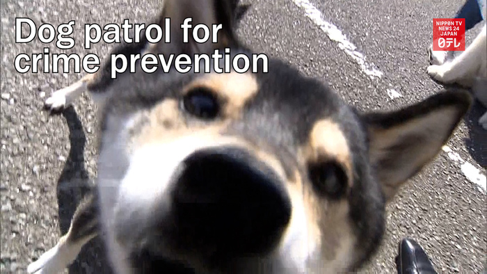 Dog patrol for crime prevention