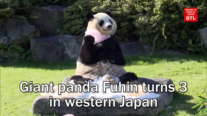 Giant panda Fuhin turns 3 in western Japan