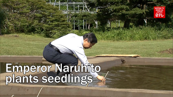 Emperor Naruhito plants seedlings