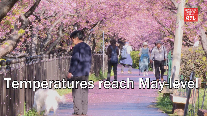 Temperatures reach May-level in Shizuoka Prefecture