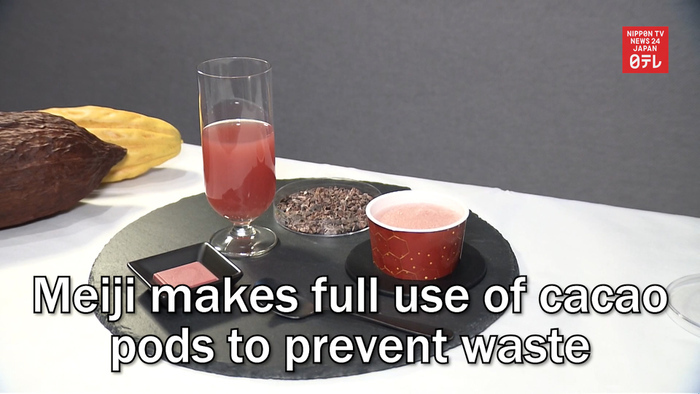 Meiji makes full use of cacao pods to prevent waste