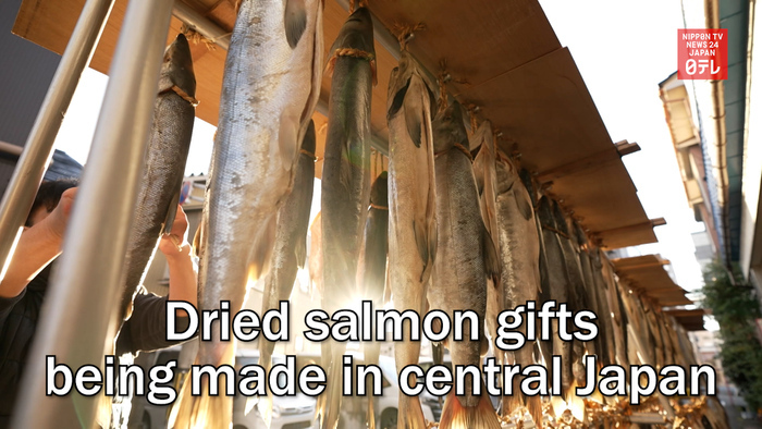 Dried salmon gifts being made in central Japan