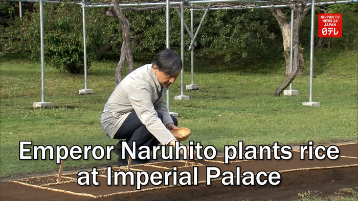 Emperor Naruhito plants rice at Imperial Palace