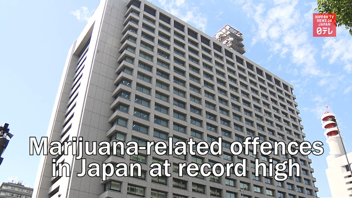 Marijuana-related offences in Japan at record high for 2021