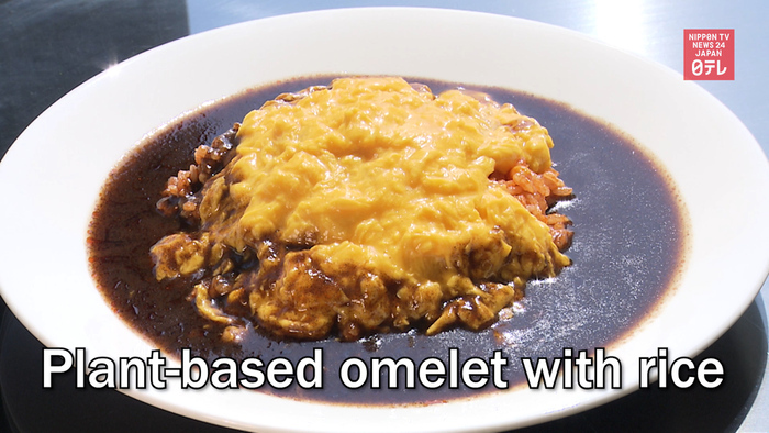 Plant-based omelet with rice