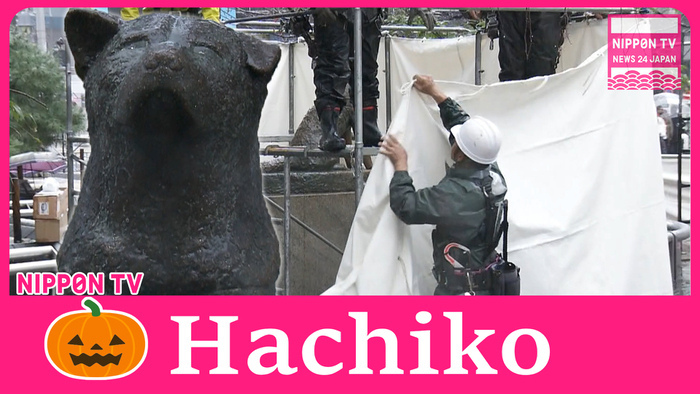 Shibuya hides Hachiko dog statue ahead of Halloween