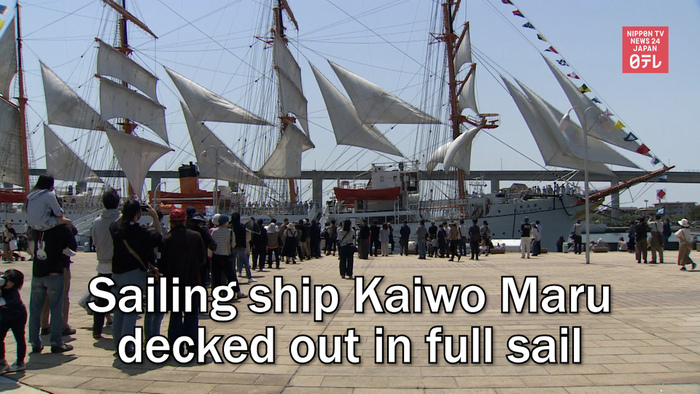 Sailing ship Kaiwo Maru decked out in full sail