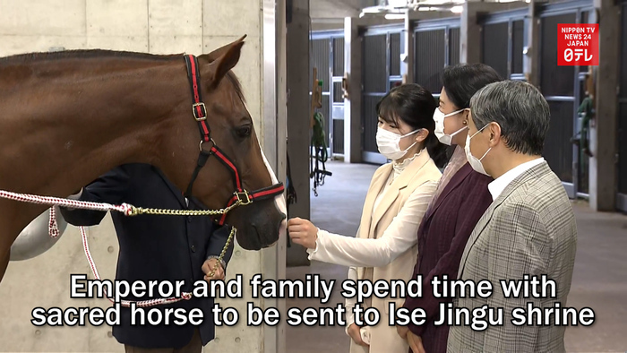 Emperor and family spend time with sacred horse to be sent to Ise Jingu shrine