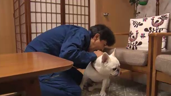 愛犬と甘噛みで命の危機 ザ 世界仰天ニュース 日本テレビ