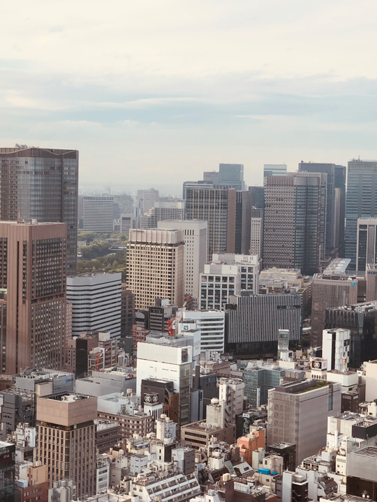 東京タワー入りは是非あなたの目で！