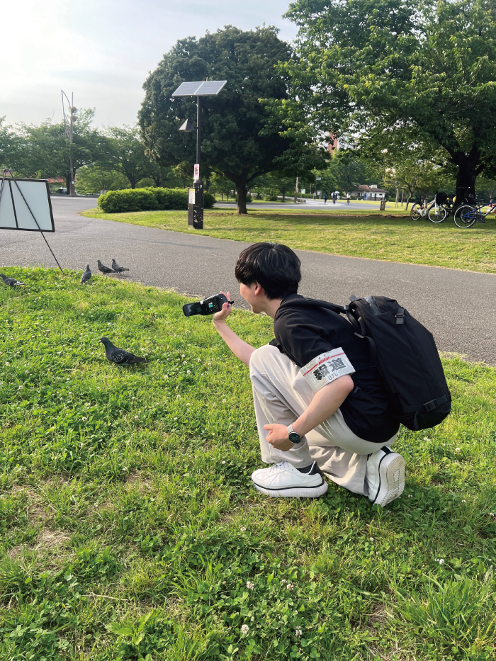 休憩中、鳩に取材を試みました！逃げられました！