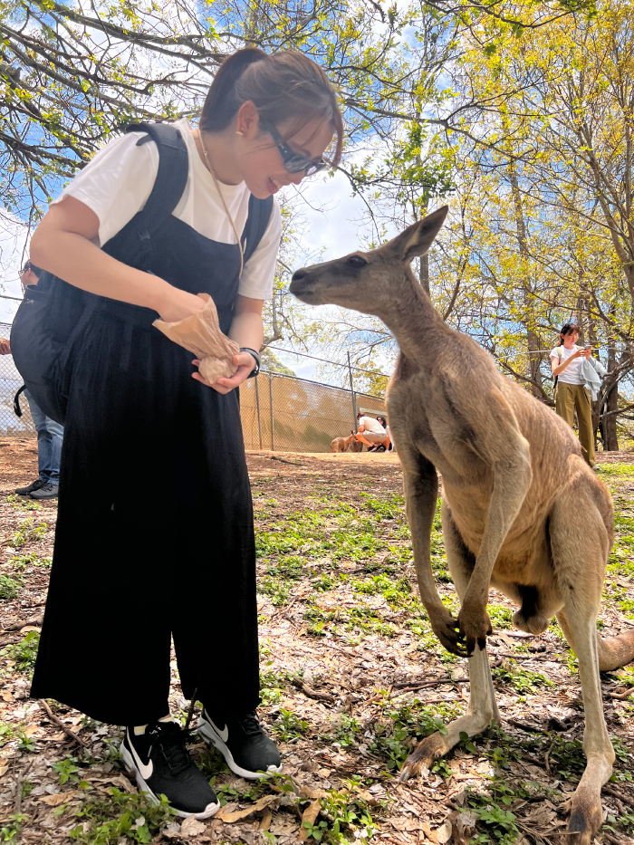 オーストラリアでの新しい出会いに感動しました。