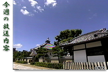 今週の放送内容